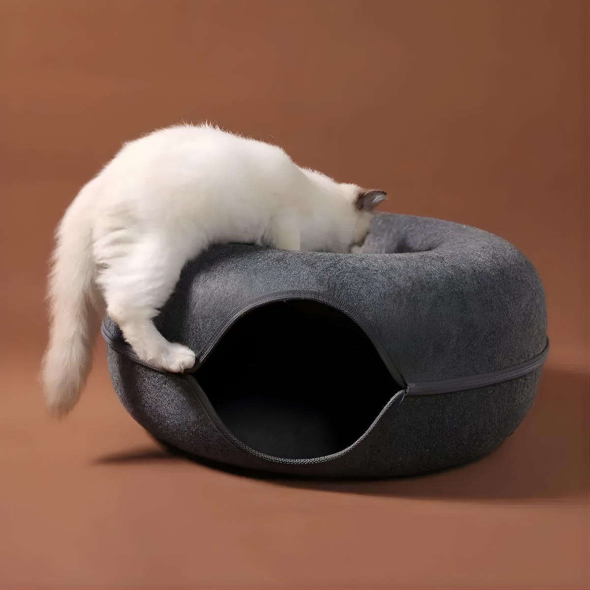 Purrlo™ Cat Bed & Tunnel