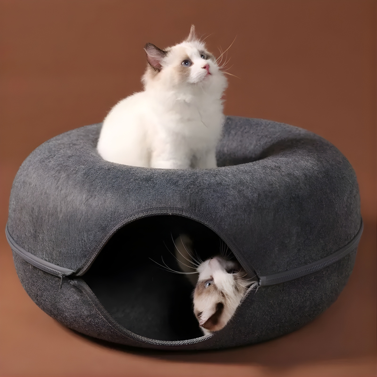Purrlo™ Cat Bed & Tunnel