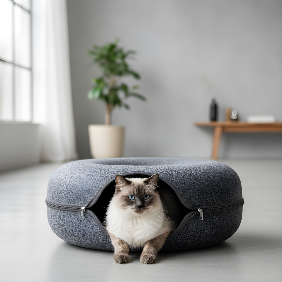 Purrlo™ Cat Bed & Tunnel