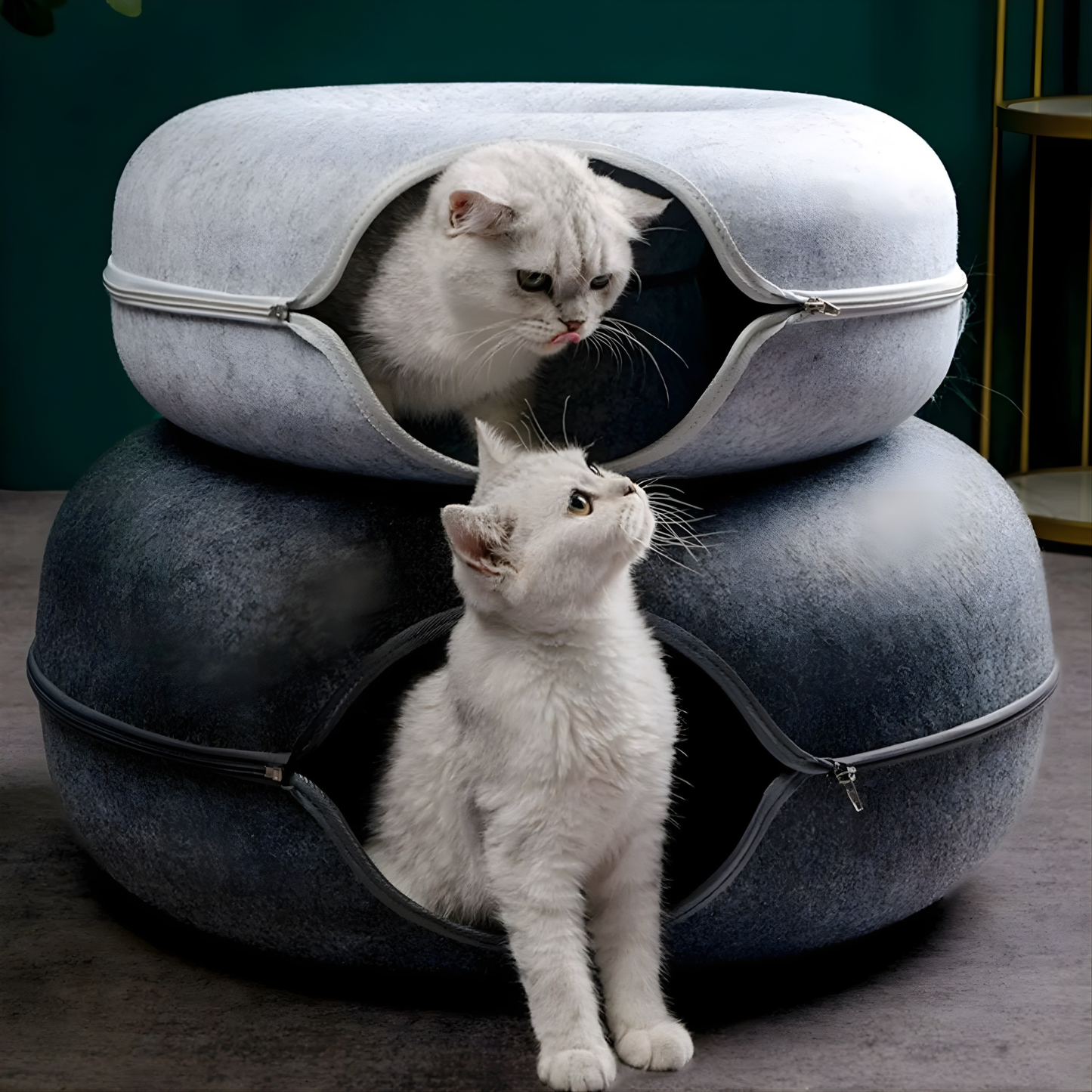 Purrlo™ Cat Bed & Tunnel