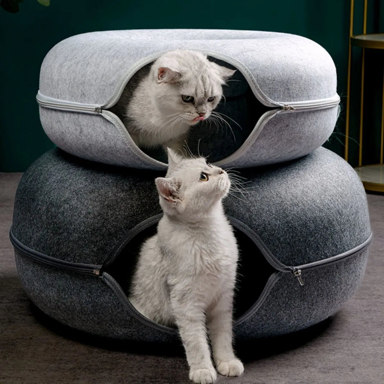 Purrlo™ Cat Bed & Tunnel